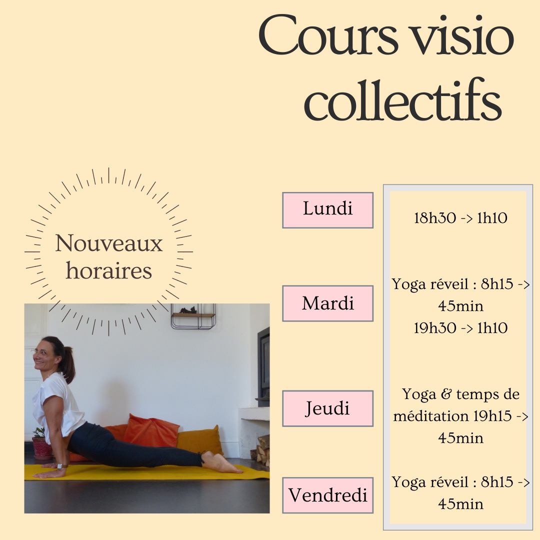 Nouveaux horaires visio collectifs